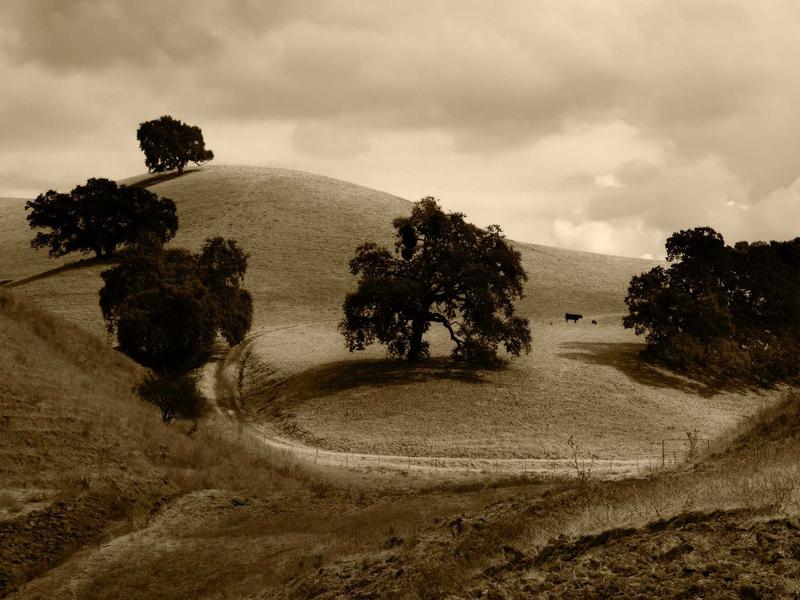 sudoku touch controls screenshot 3