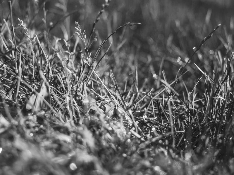 sudoku brain workout screenshot 5